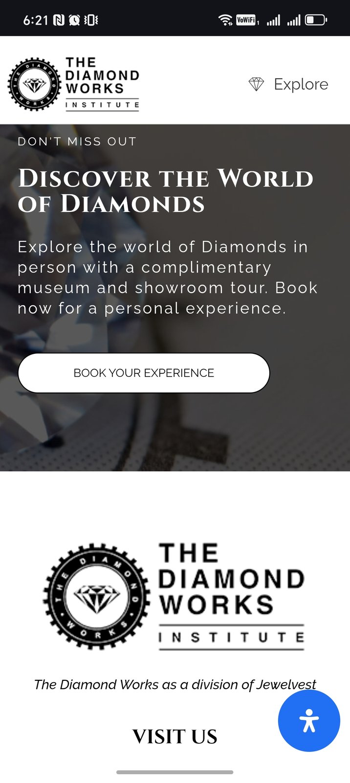 3-Hour Diamond Works shopping experience and City Walking